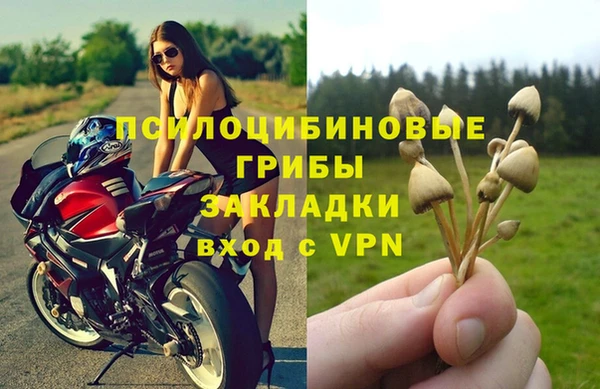 трава Баксан