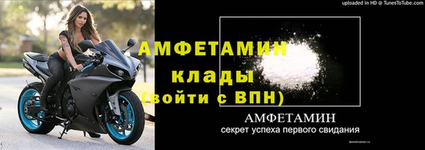 индика Беломорск